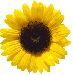 zonnebloem logo3